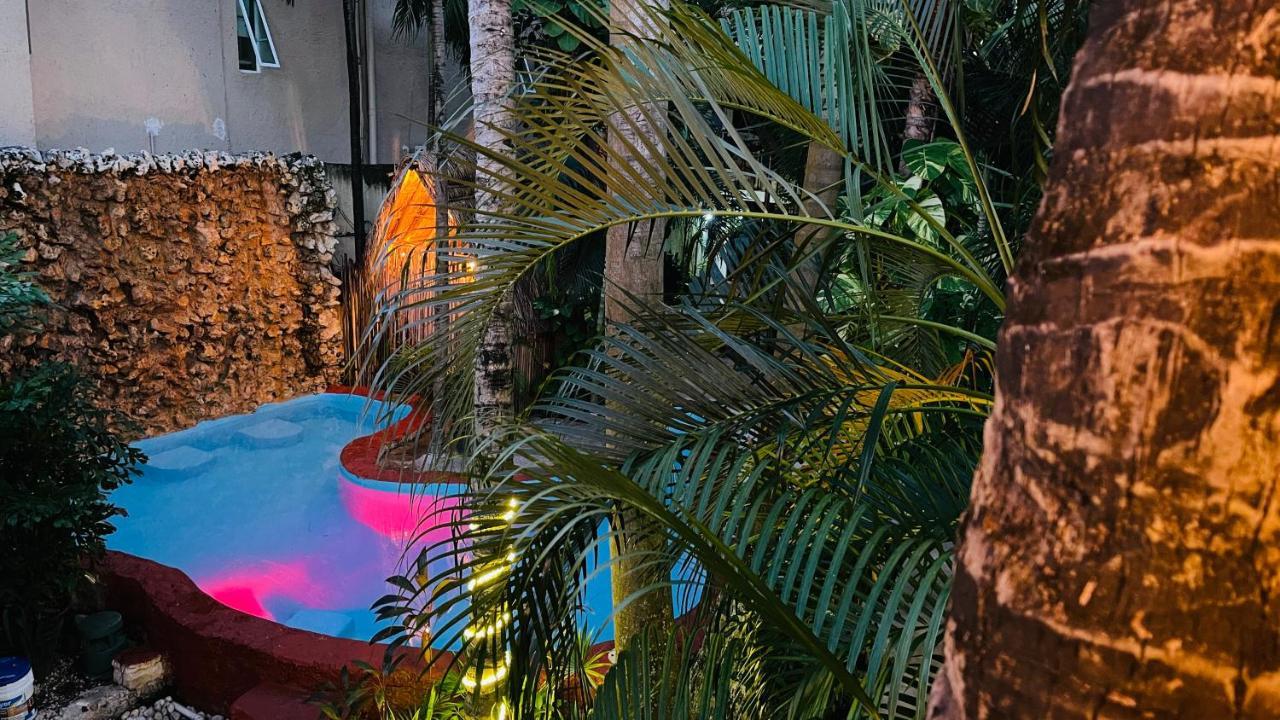 Hotel B&B - 5Th Avenue Playa del Carmen Eksteriør bilde The pool at the 2019 edition of the festival